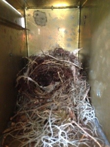 Nesting Instinct